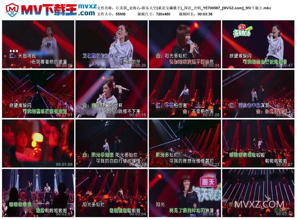 江美琪_金海心-娱乐天空(谁是宝藏歌手)_国语_合唱_YE700587